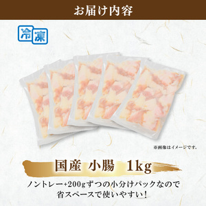 【国産】 小腸 ホルモン 200g×5パック