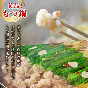 【国産】 小腸 ホルモン 200g×8パック