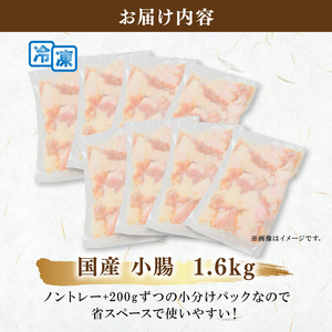 【国産】 小腸 ホルモン 200g×8パック