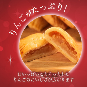 【先行予約受付】 アップルパイ 15個 期間限定