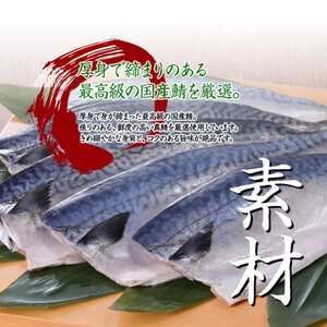 【 柿の葉寿司 】 24個 冷凍炙り鯖 鮭 穴子