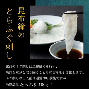 【 訳あり 】 ふぐ 刺身 鍋 セット とらふぐ てっさ てっちり 3~4人