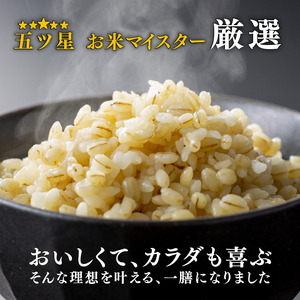 【 ご飯パック 】 金賞 健康米 キラリモチ 120g×12個入り