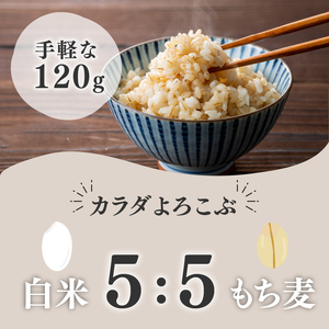【 ご飯パック 】 金賞 健康米 キラリモチ 120g×12個入り