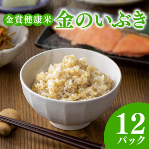 【 ご飯パック 】 金賞 健康米 金のいぶき 120g×12個入り ご飯パック