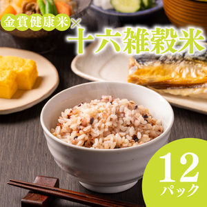 【 ご飯パック 】 金賞 健康米 十六雑穀米 120g×12個入り ご飯パック