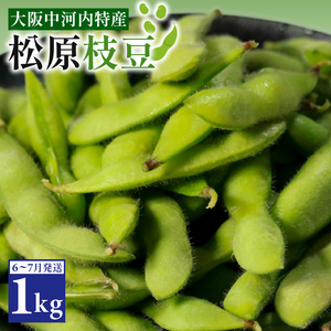 【香ばし旨味】無農薬 枝豆1kg
