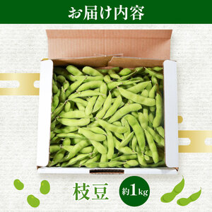 【香ばし旨味】無農薬 枝豆1kg