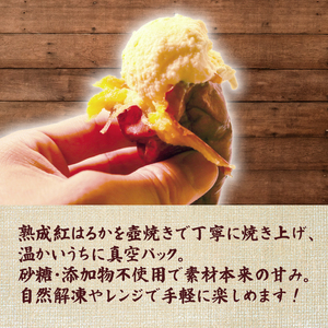 【 蜜焼き熟成 】 紅はるか 焼き芋 1kg 壺焼き芋