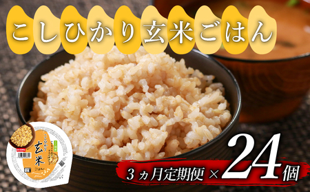 【定期便3回】 玄米ご飯パック 160g 24個 こしひかり ご飯パック