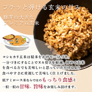 【定期便3回】 玄米ご飯パック 160g 24個 こしひかり ご飯パック