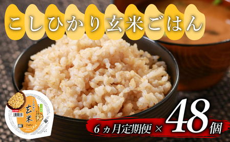 【定期便6回】 玄米ごはんパック 160g 48個 こしひかり 玄米
