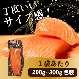 【 濃厚な旨味 】サーモン 約1kg サーモン