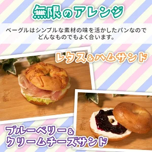 【 クセになる 】 プレーン ベーグル  20個  ベーグル