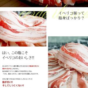 イベリコ豚 バラ スライス 400g(200g×2) 豚バラ 豚肉 冷凍