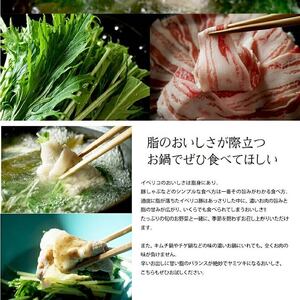 イベリコ豚 国産 バラ スライス 400g 200g×2 切り落とし 小分け 豚肉 豚バラ 個包装 豚スライス スライス肉 豚肉