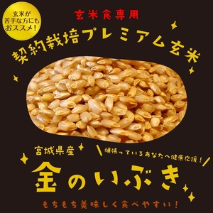 玄米ごはんパック 120g 12個 玄米 米 お米 ごはん ご飯 こめ パックライス パックご飯 パックごはん ご飯パック ごはんパック パック ライス 備蓄 保存 非常食 防災 レンジ 温めるだけ 健康 ダイエット 美容 ヘルシー 