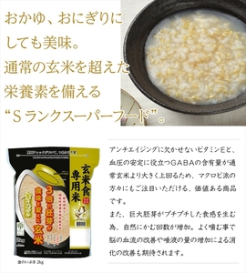 玄米ごはんパック 120g 12個 玄米 米 お米 ごはん ご飯 こめ パックライス パックご飯 パックごはん ご飯パック ごはんパック パック ライス 備蓄 保存 非常食 防災 レンジ 温めるだけ 健康 ダイエット 美容 ヘルシー 