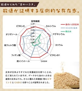 玄米ごはんパック 120g 12個 玄米 米 お米 ごはん ご飯 こめ パックライス パックご飯 パックごはん ご飯パック ごはんパック パック ライス 備蓄 保存 非常食 防災 レンジ 温めるだけ 健康 ダイエット 美容 ヘルシー 