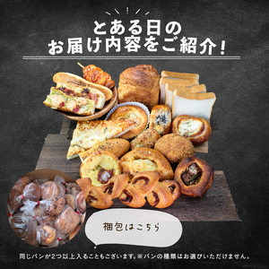 【 訳あり 】おまかせ パン詰め合わせ 7個 パンパンパン