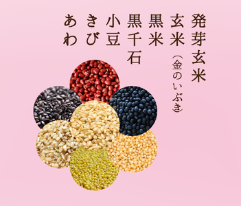 雑穀 パックごはん 120g×12個 黒美米 パックご飯 ご飯パック パック米 パックライス レトルトご飯 防災 備蓄 常備 雑穀米 黒米 発芽玄米 玄米 小豆 食物繊維 低GI値 糖質 健康 