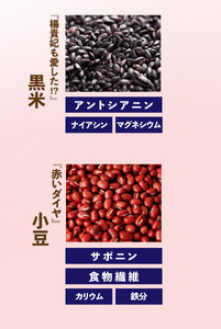 雑穀 パックごはん 120g×12個 黒美米 パックご飯 ご飯パック パック米 パックライス レトルトご飯 防災 備蓄 常備 雑穀米 黒米 発芽玄米 玄米 小豆 食物繊維 低GI値 糖質 健康 