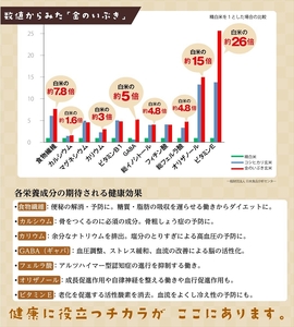 定期便6ヶ月 金のいぶきプレミアム玄米ごはん120g×24個 パックごはん