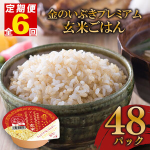 定期便 6回 玄米ごはんパック 120g 48個 玄米 米 お米 ごはん ご飯 こめ パックライス パックご飯 パックごはん ご飯パック ごはんパック パック ライス 備蓄 保存 非常食 防災 レンジ 温めるだけ 健康 ダイエット 美容 ヘルシー 