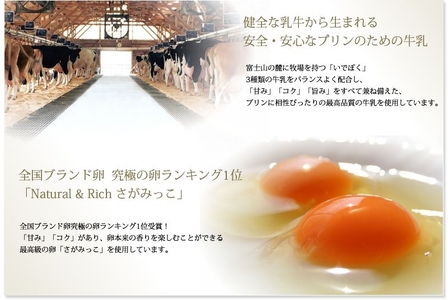 【 真・プリン 】 2種食べ比べセット4個入り プリン 