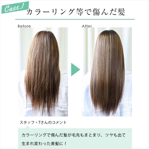 【 シャンプー トリートメント 】 2点セット 500ml ヘマチン