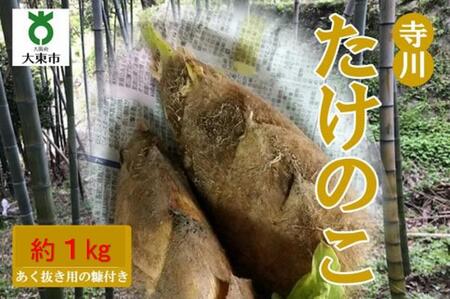 【2024年発送】＜30セット限定＞朝堀り！新鮮！「寺川たけのこ」1kg