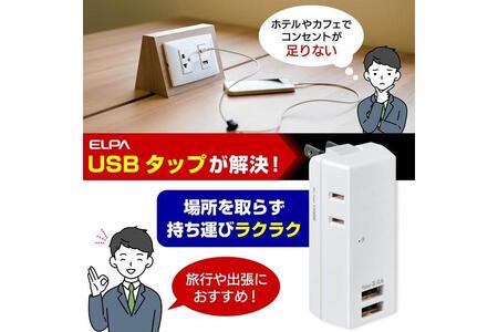 電源タップ　耐雷サージ　USBポート付き　USB×2ポート　2個口　3.4A　UA-223SB　