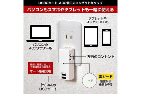 電源タップ　耐雷サージ　USBポート付き　USB×2ポート　2個口　3.4A　UA-223SB　