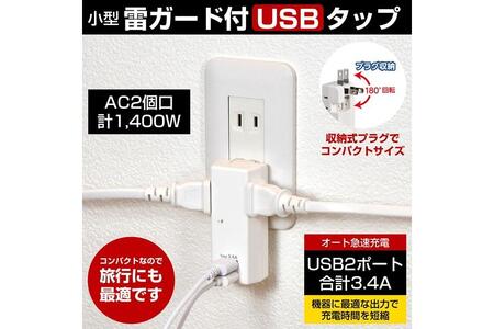 電源タップ　耐雷サージ　USBポート付き　USB×2ポート　2個口　3.4A　UA-223SB　