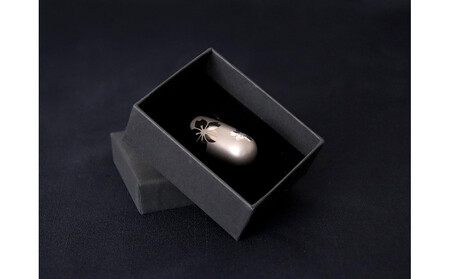 個性が光るアクセサリー Kin-kan Titanium プレーン 川村義肢株式会社