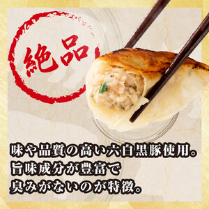 【大阪名物】大阪ふくちぁん黒豚餃子 冷凍生餃子 72個 ［18個入×4セット］