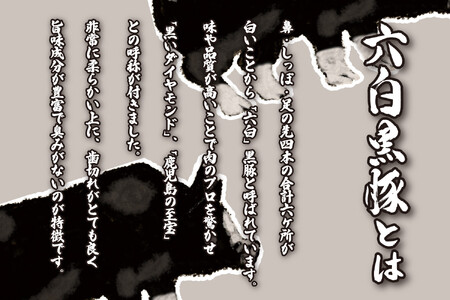 【大阪名物】大阪ふくちぁん黒豚餃子 冷凍生餃子 108個 ［36個入×3セット］