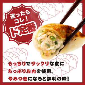 【大阪名物】大阪ふくちぁん餃子 冷凍生餃子 54個 ［18個入×3セット］