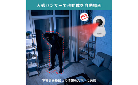 屋内用カメラ　TBC-IP300