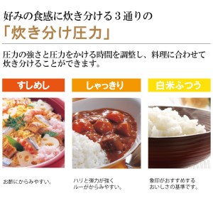 象印圧力ih炊飯ジャー 極め炊き Npzu10 Td 5 5合炊き ダークブラウン 納期1 5か月 最長4か月位 大阪府大東市 ふるさと納税サイト ふるなび