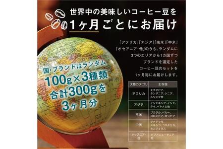 【３か月定期便】 焙煎士お任せ100g×3種類セット[豆のまま] 受注自家焙煎 珈琲豆 コーヒー豆