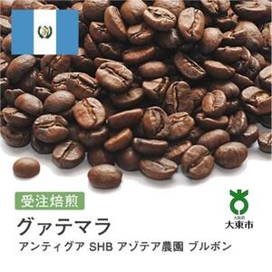 [豆]#73 受注焙煎！310g グアテマラ アンティグア SHB アゾテア農園 ブルボン 珈琲豆 コーヒー豆 自家焙煎