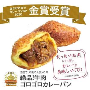 【12か月定期便】カレーパン 6個 牛肉 ゴロゴロ グランプリ 金賞受賞