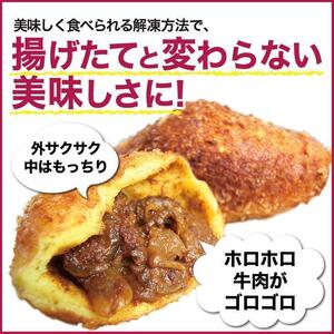 【12か月定期便】カレーパン 6個 牛肉 ゴロゴロ グランプリ 金賞受賞