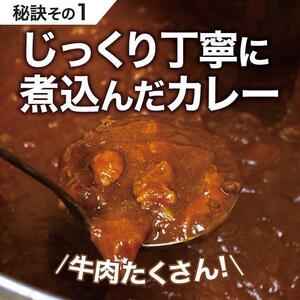 【12か月定期便】カレーパン 6個 牛肉 ゴロゴロ グランプリ 金賞受賞
