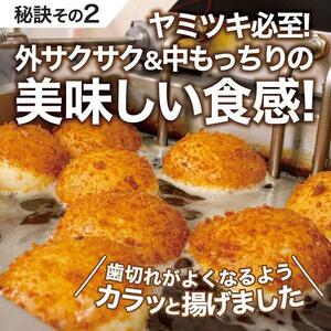 【12か月定期便】カレーパン 6個 牛肉 ゴロゴロ グランプリ 金賞受賞