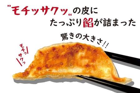 大阪名物】大阪ふくちぁん餃子 冷凍生餃子 108個 ［36個入×3セット