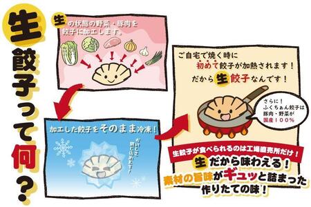 【大阪名物】大阪ふくちぁん餃子 冷凍生餃子 108個 ［36個入×3セット］