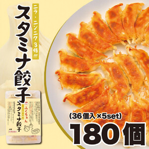【大阪名物】大阪ふくちぁんスタミナ餃子 冷凍生餃子 180個 ［36個入×5セット］