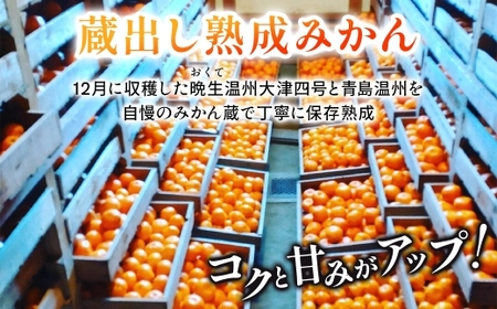 隠れ名産地 蔵出し熟成和泉みかん(中玉・大玉サイズミックス)5kg【1499001】